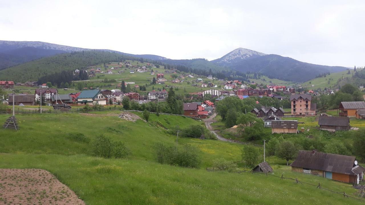 Bee House поляниця